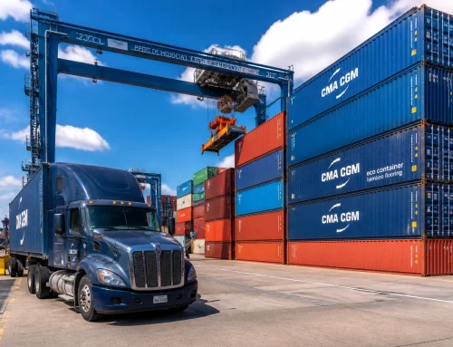 Container Types and Sizes PDF Guide: Choosing the Right Container for Your Houston to Nigeria Shipments